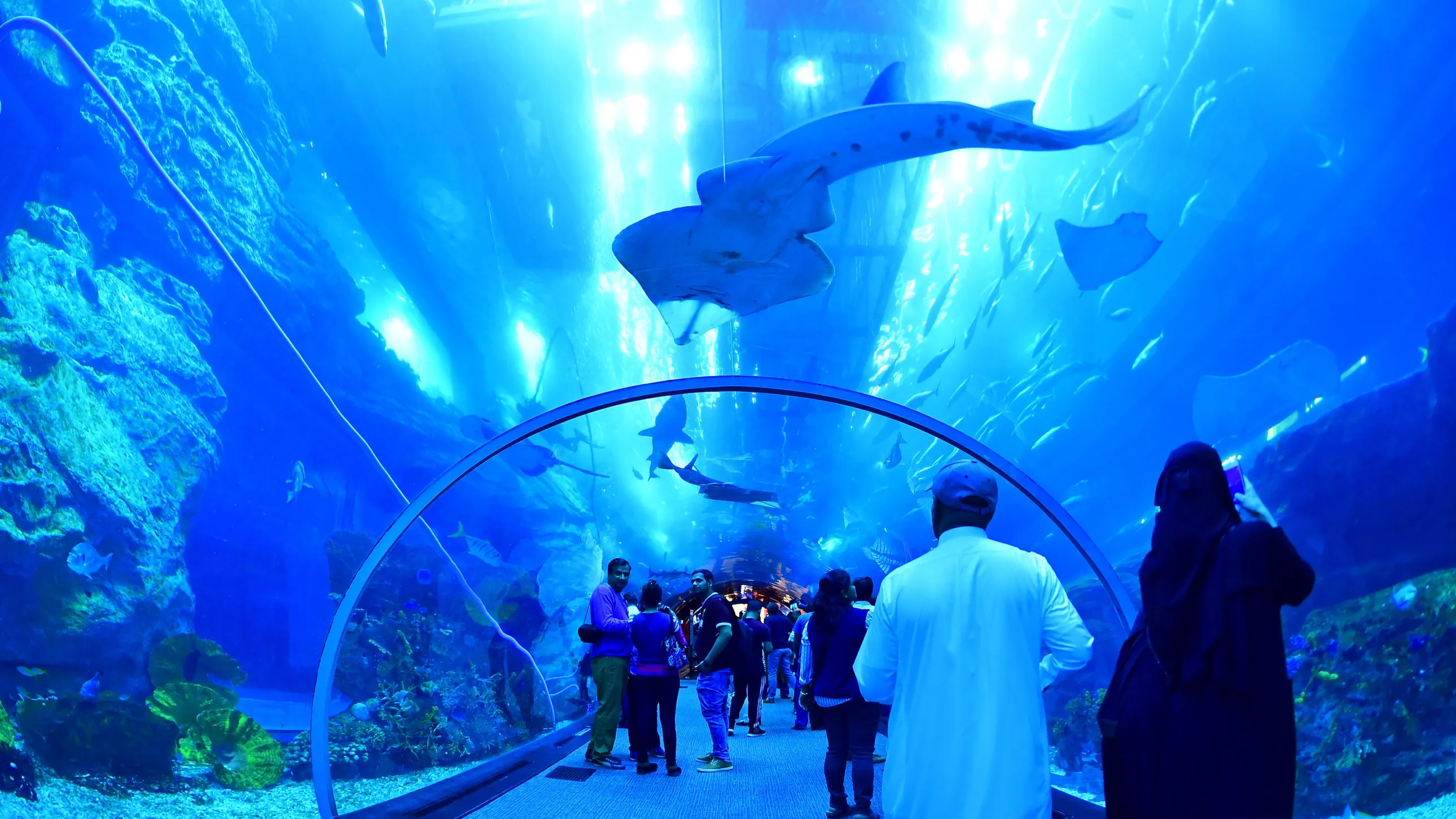 Falak travel agency Dubai